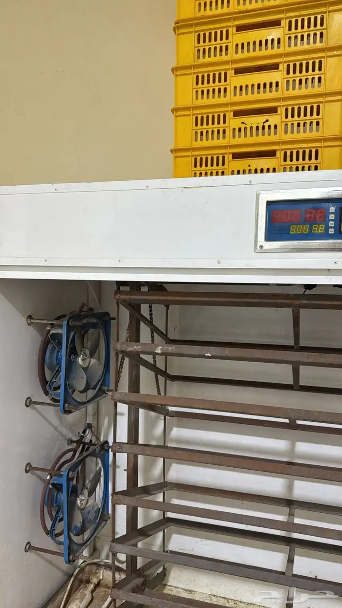 فقاسه للبيع بكامل أغراضها تاخذ تقريبا  1580 1