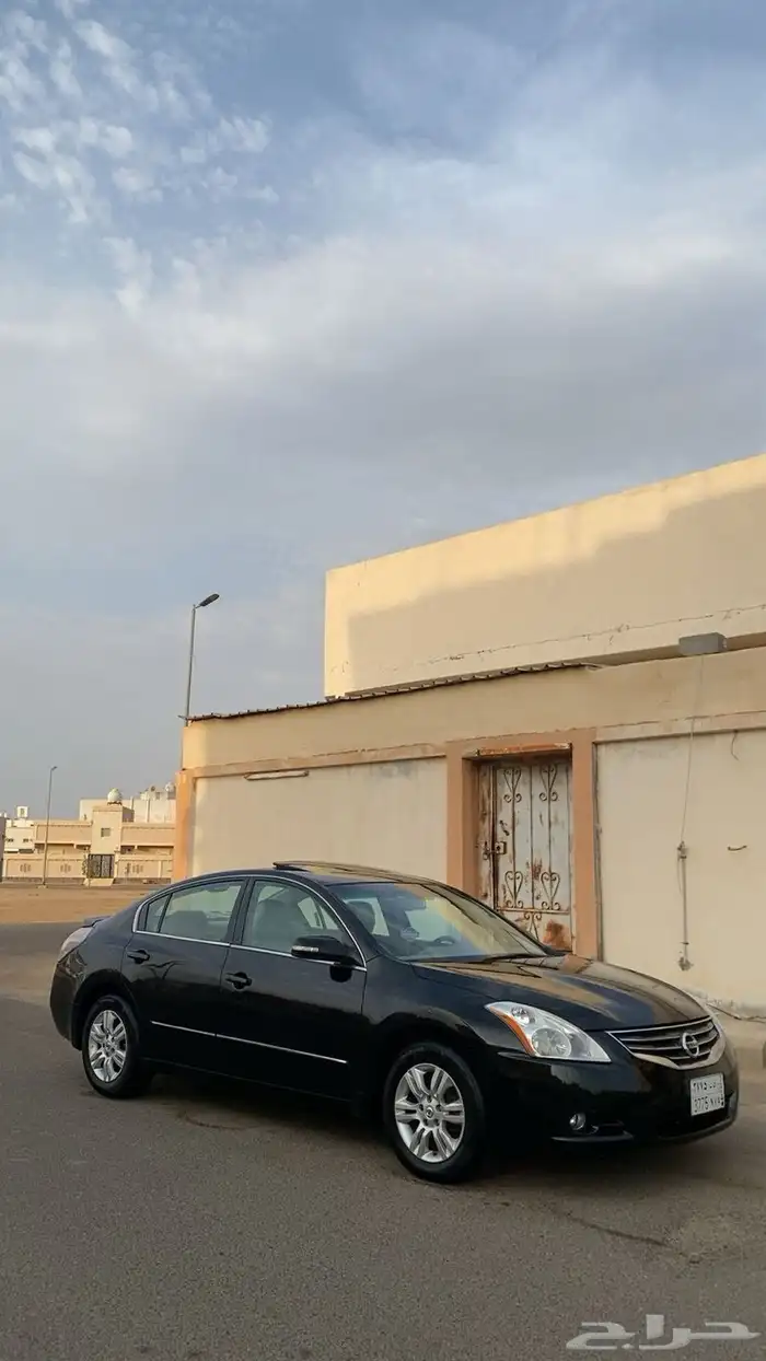 التيما 2010 18