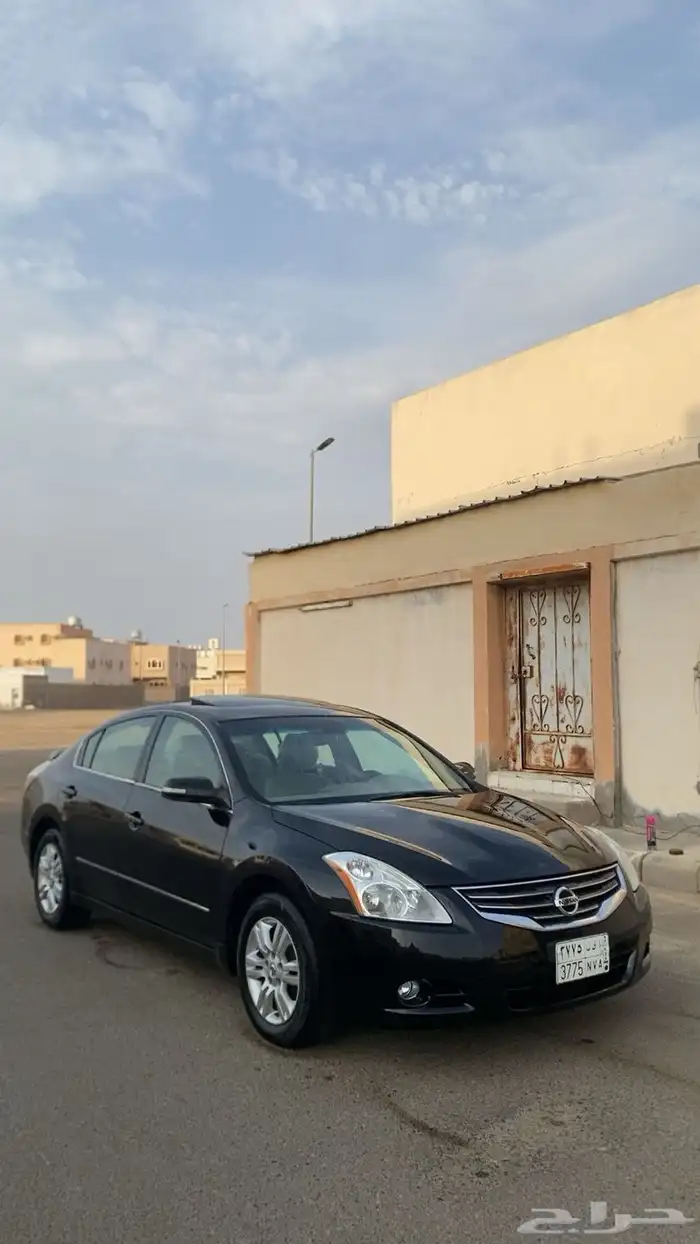 التيما 2010 20