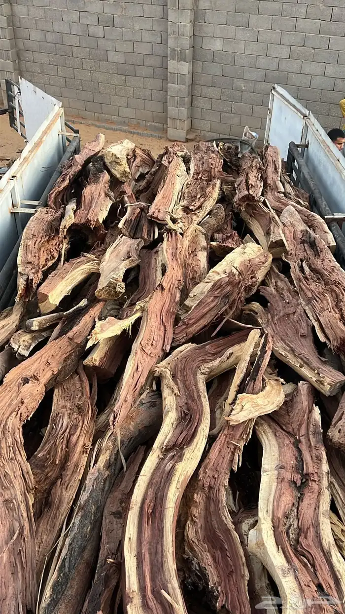 جيب لاندكروزر 1