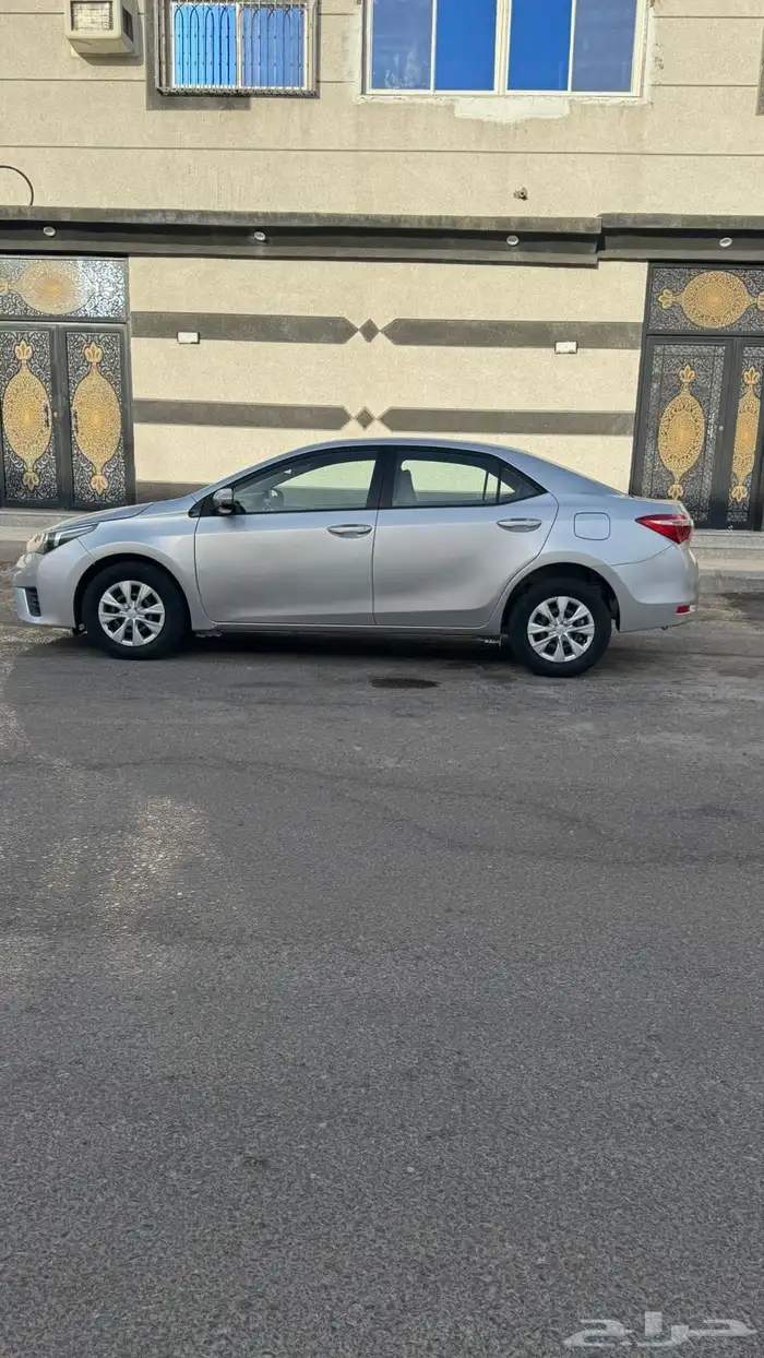 كوريلا للبيع 0