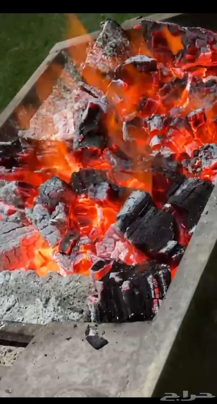 حطب وفحم بالجملة عروض وتخفيضات توصيل ابها 4