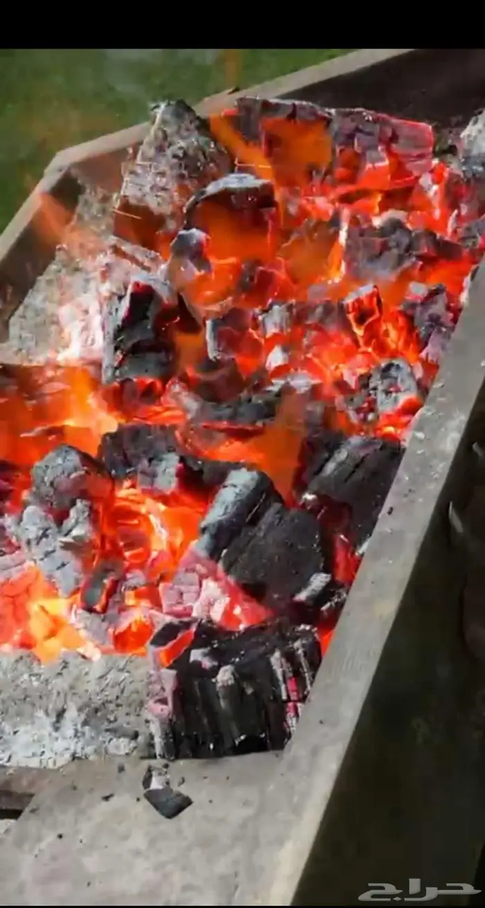 حطب وفحم بالجملة عروض وتخفيضات احد رفيدة - الواديين - طريب 12