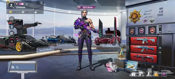 حساب ببجي الأحساء 8