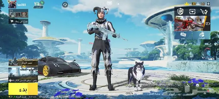 حساب ببجي الأحساء 9