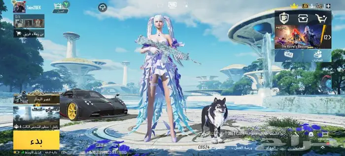 حساب ببجي الأحساء 15