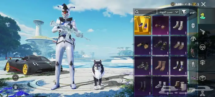 حساب ببجي الأحساء 65