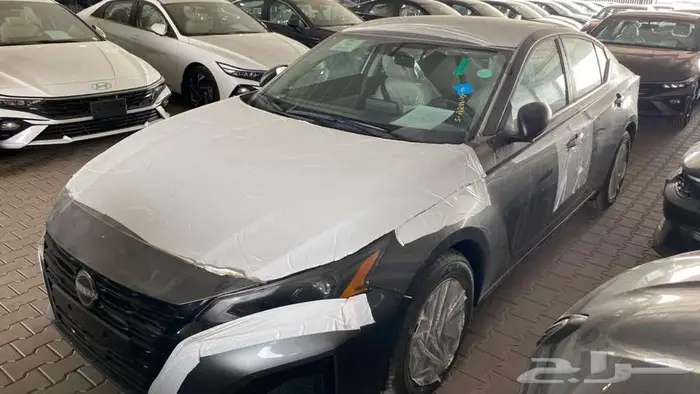 التيما استندر 0