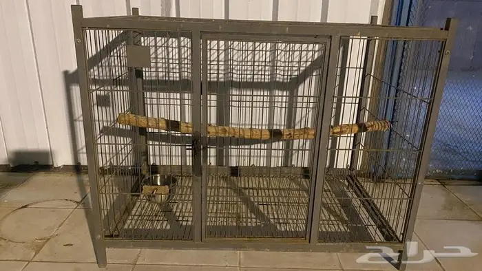 قفص ببغاء وقطط وكلاب 1