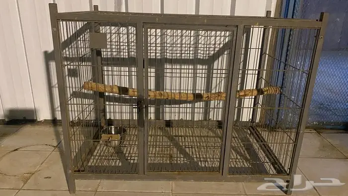 قفص ببغاء وقطط وكلاب 2