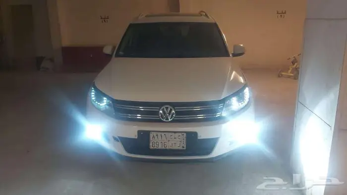 فلس واجن 2014 3