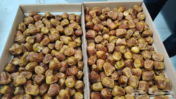 تمور بالجملة سكري مفتل ناشف وضميد وصفاوي 1