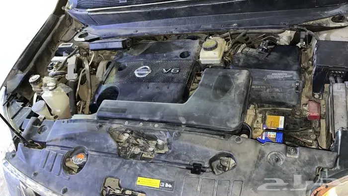 باثفندر 2014 4