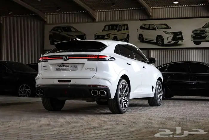 شانجان يوني كي 2023 فل كامل 13