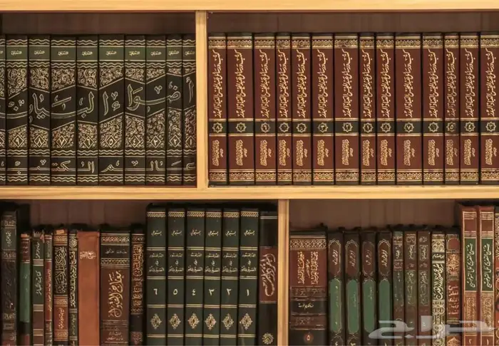 امين مكتبة وبائع كتب خبرة في مجال الكتب اكثر من 13سنة 0