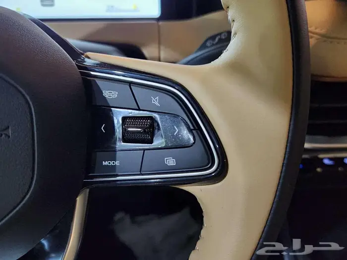 جيلى اوكافانجو 2025-(كاش -تقسيط جميع البنوك) 16