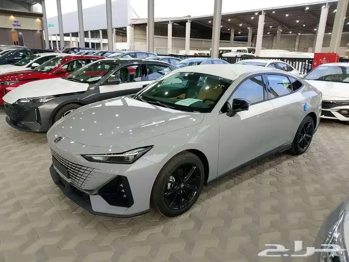 شانجان يوني في ايليت 8