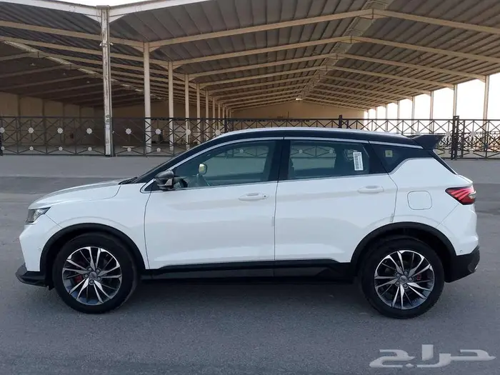 جيلي كولراي 2022 3