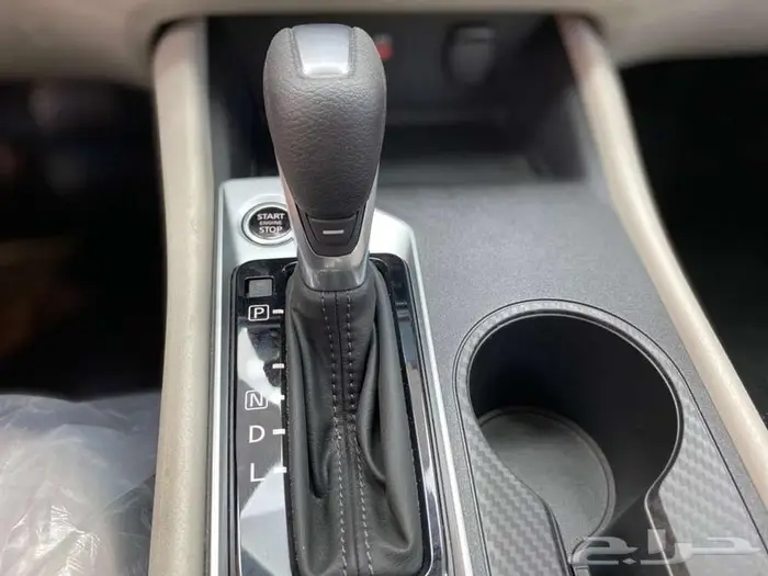 التيما استندر 6