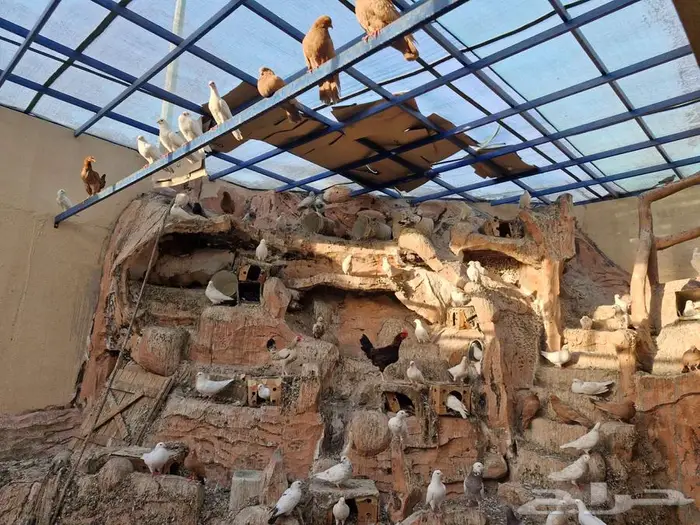 حمام فرنسي ومصري 6