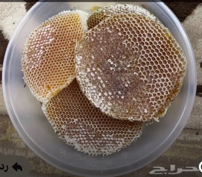 عسل سدر للبيع 0