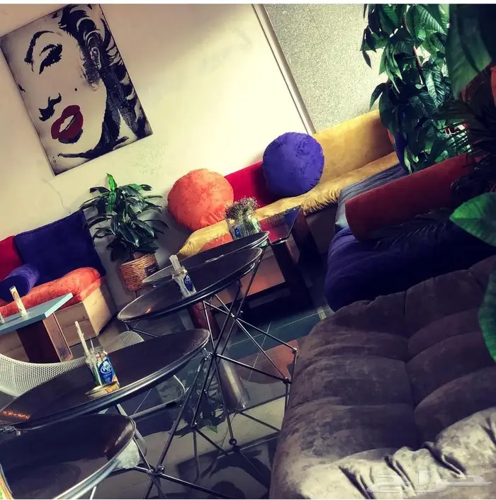 كوفي شوب للتقبيل 5