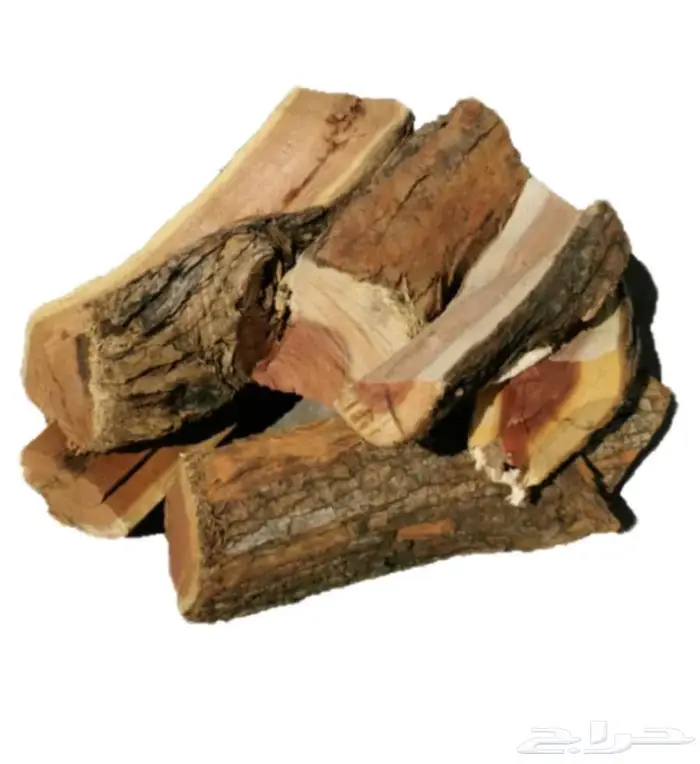 دينة حملة طلح 0