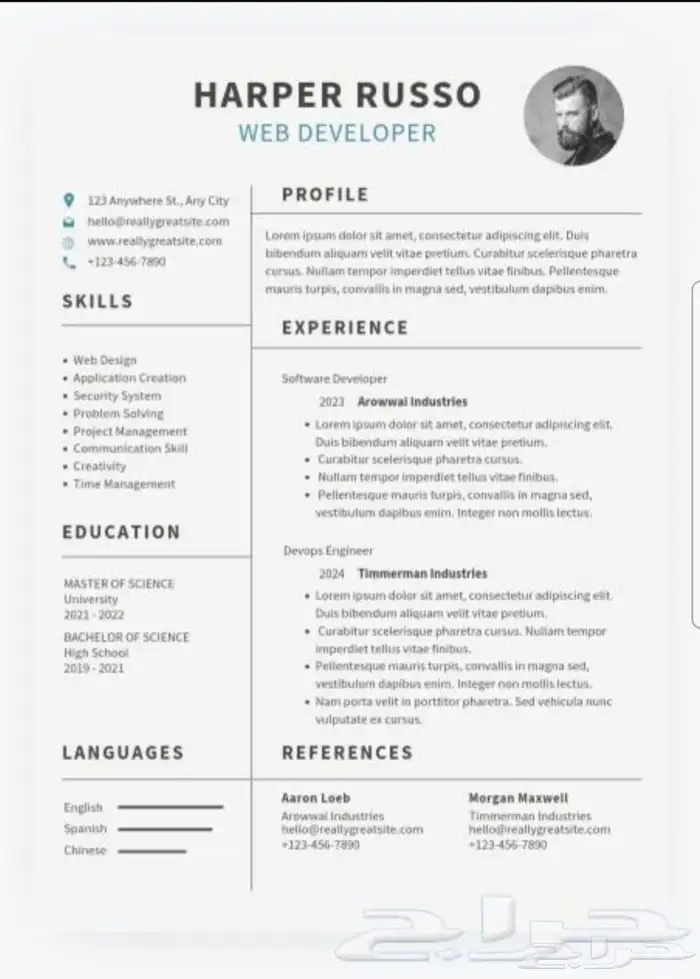 سيرة ذاتية احترافية بجميع اللغات سرعة في الانجاز 7