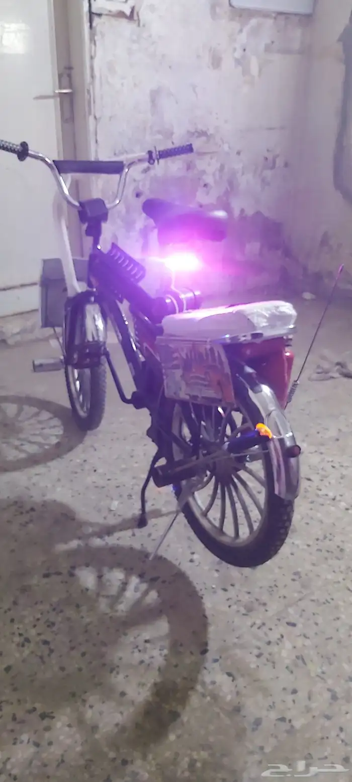 رامبو اسود للبيع 5