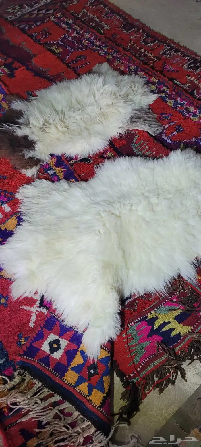 مجموعه منتجات تراثيه نادره 8