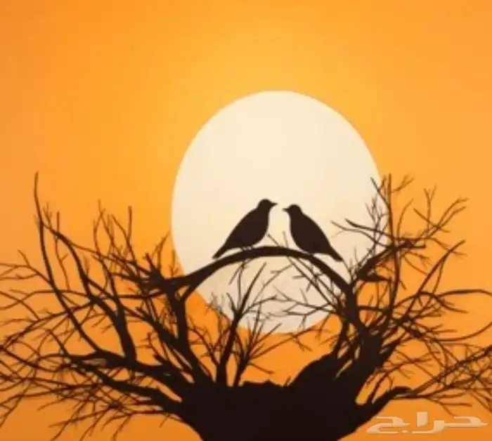 حضانة حيوانات 0