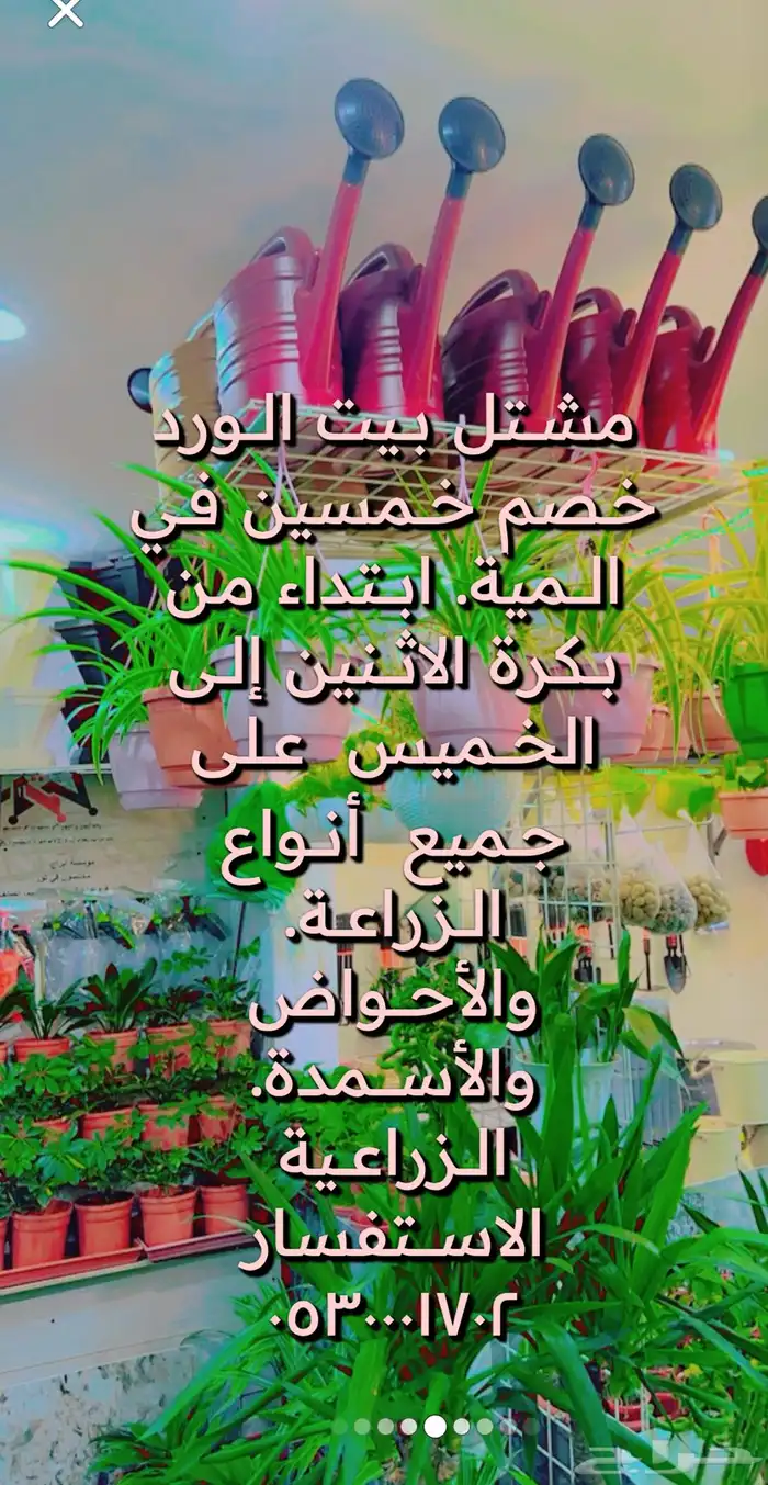 الطائف. الحوية رحاب 29