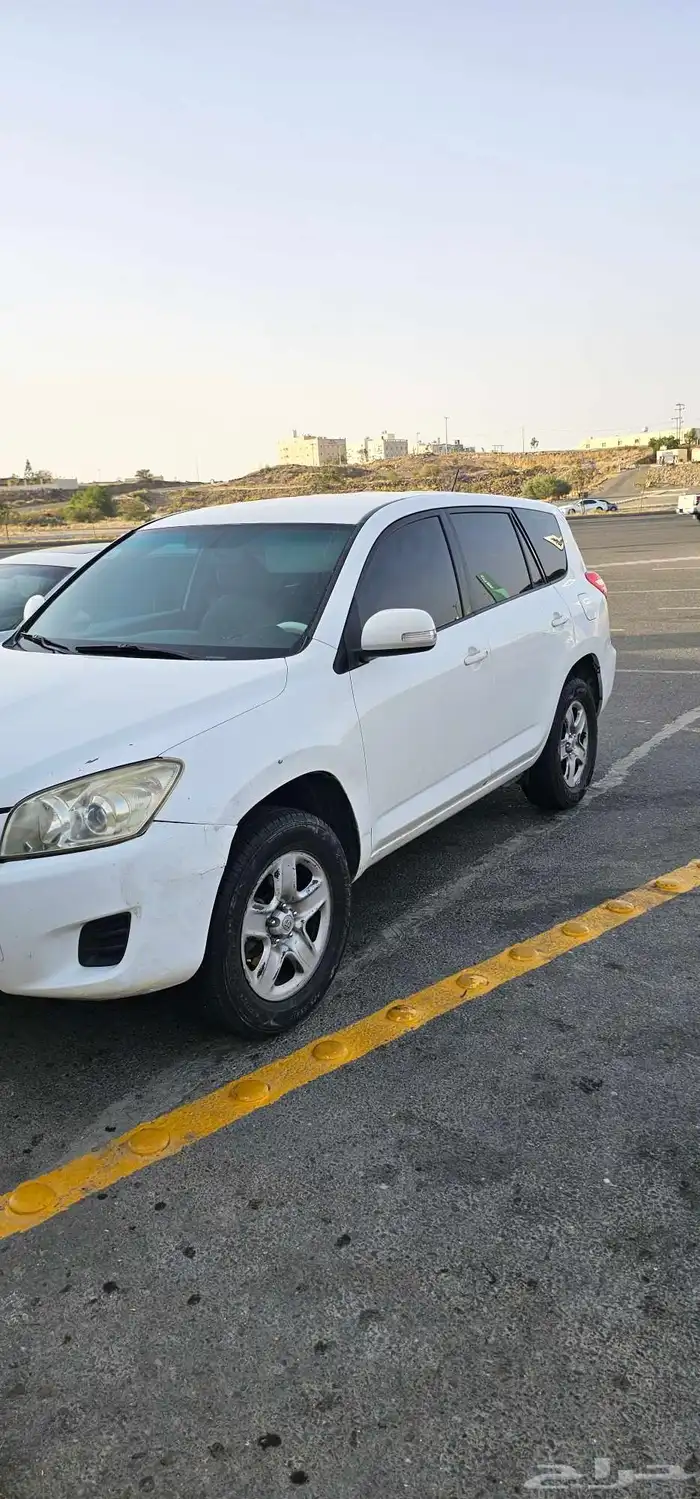 راف فور 2010 1