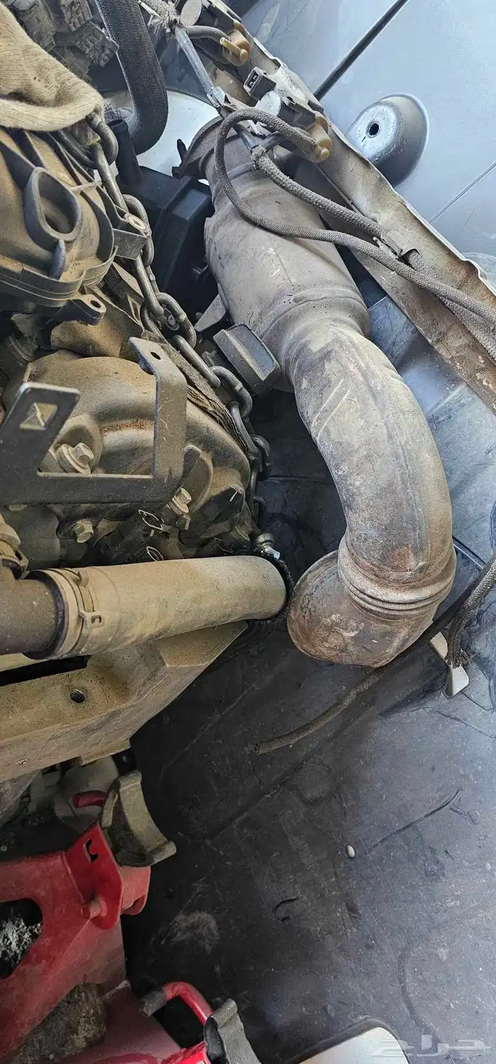 دبات رصاص او تلوث البيئه 335 نظاف 0