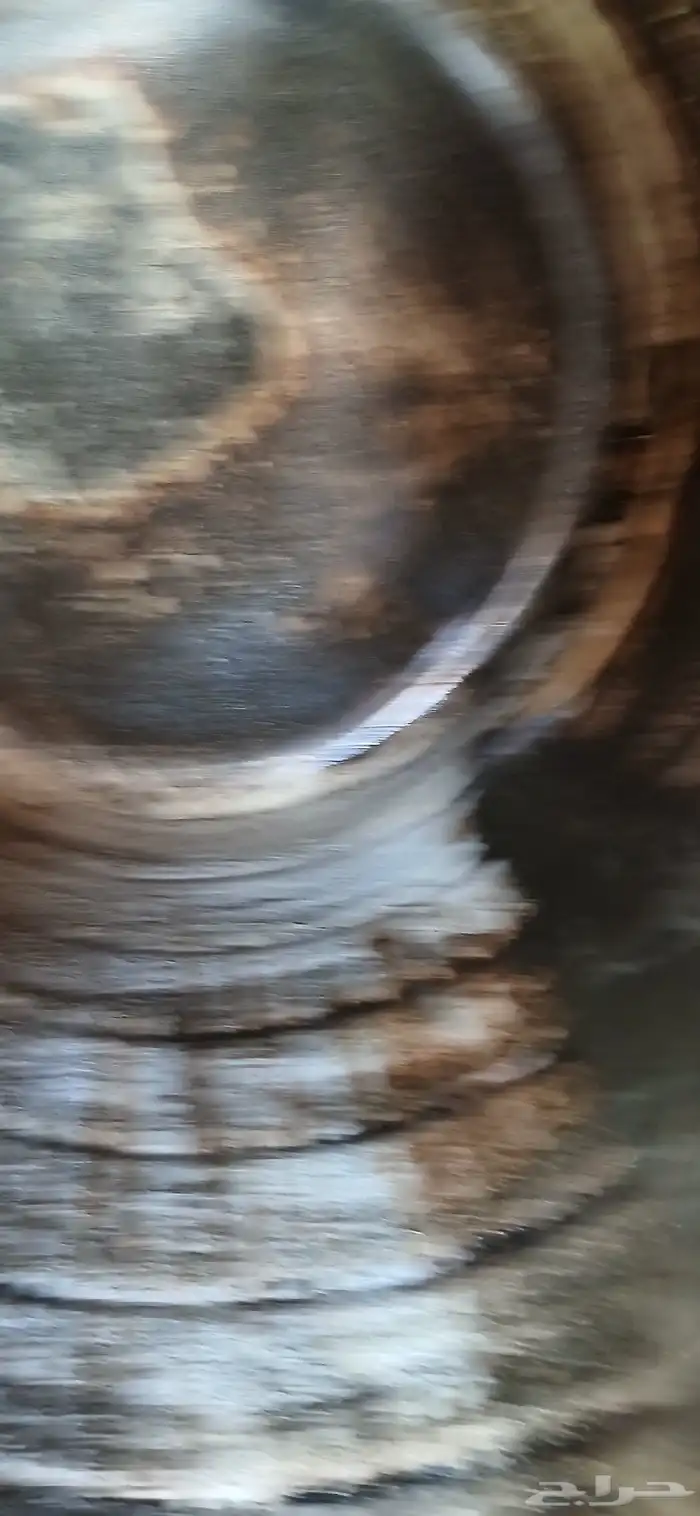 شركة تنظيف خزانات بجده تنظيف شقق وفلل فى جده رش حشرات بجده 5