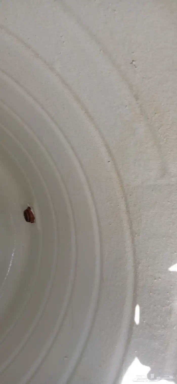 شركة تنظيف خزانات بجده تنظيف شقق وفلل فى جده رش حشرات بجده 7