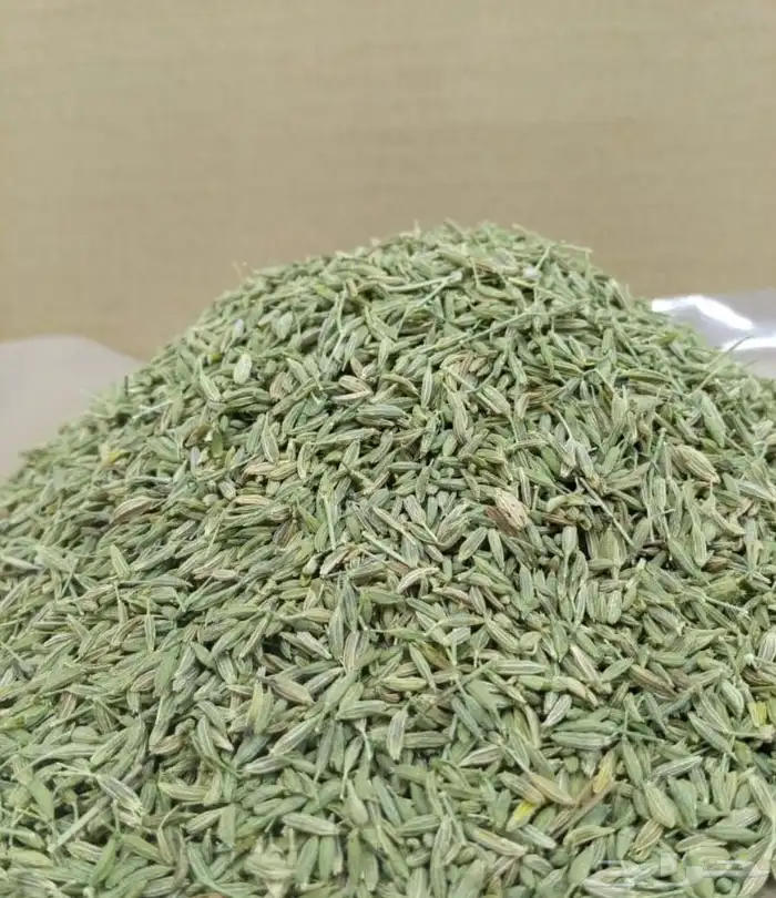 كمون بلدي للبيع بريدة 0