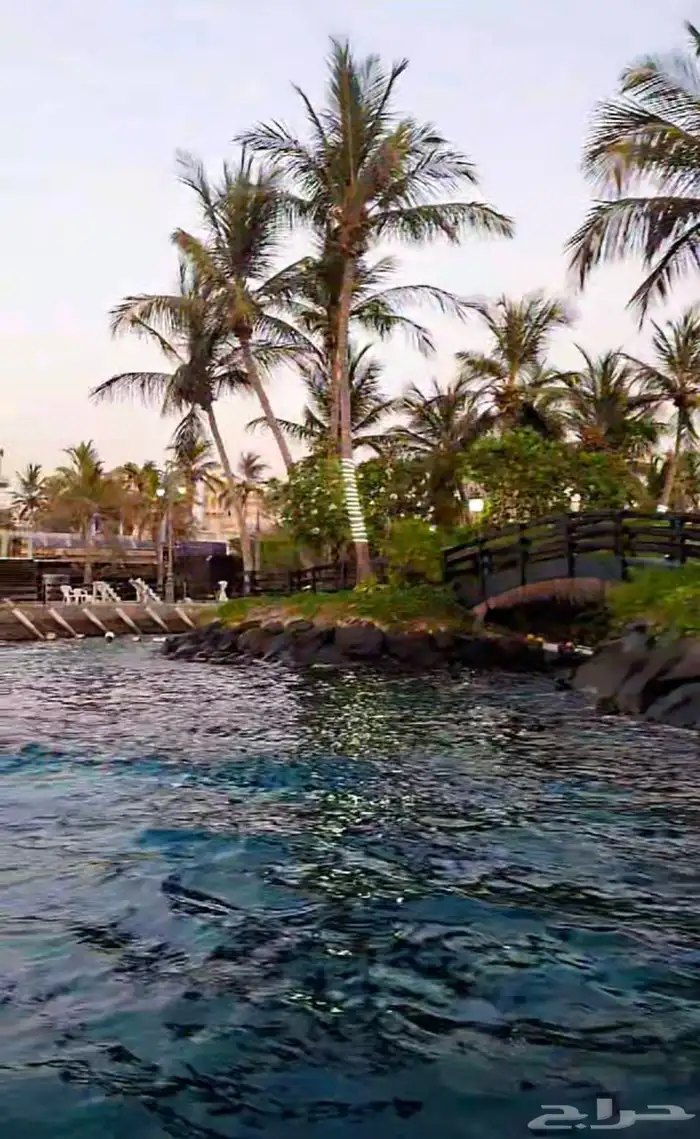 جولات نزهة ب 150ريال 3