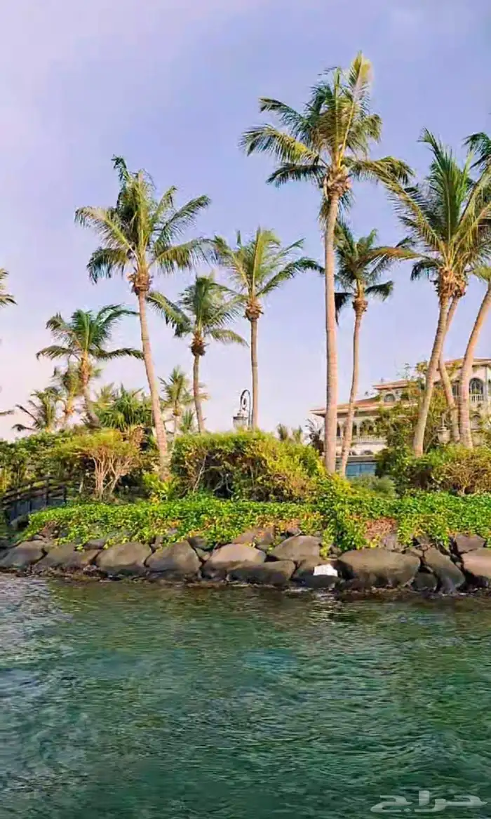 جولات نزهة ب 150ريال 2