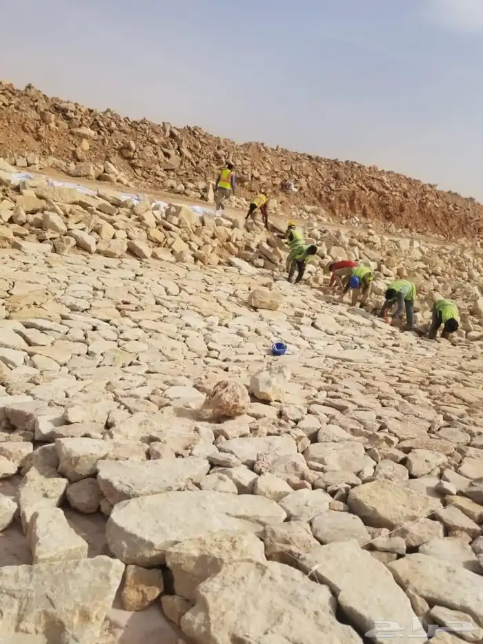 جميع انواع المقاولات 7