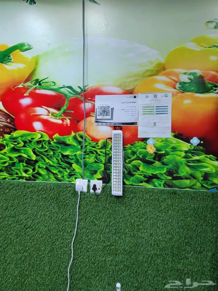 اغراض خضره للبيع 5