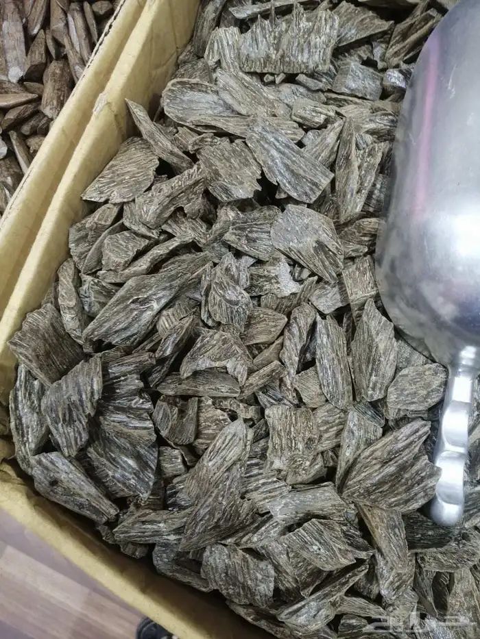 العود الازرق درجه اولى 1