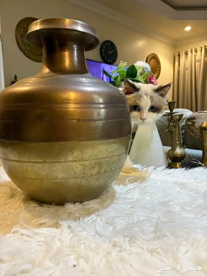 نحاسيات دلل لوحة مباخر فازات 5