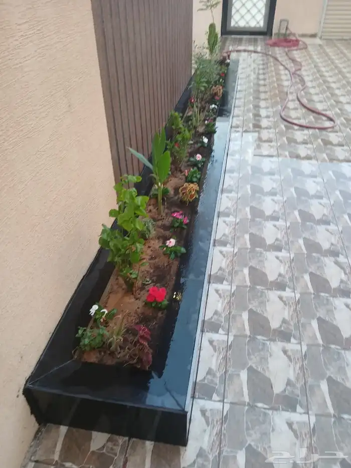 ثيل طبيعي سى 2000 8