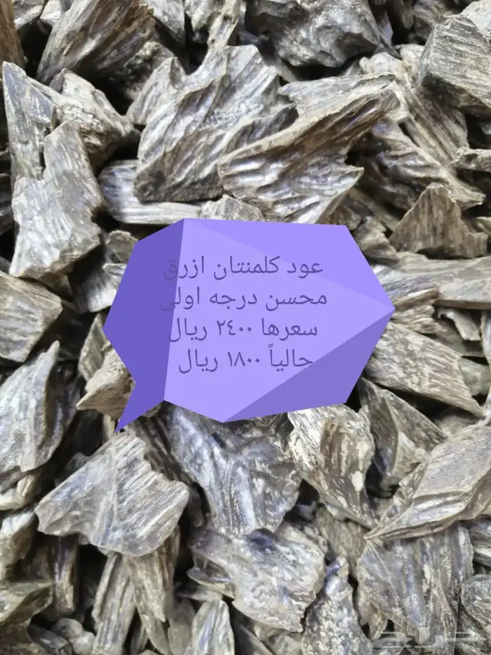 العود الازرق درجه اولى 0