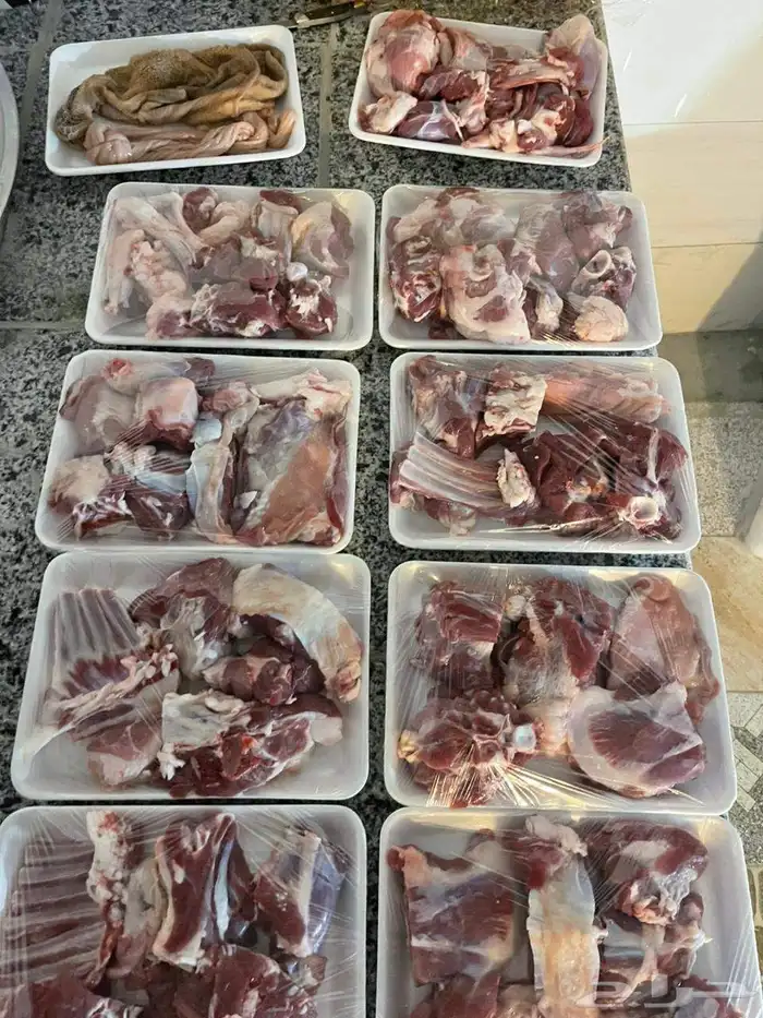 مختصون في الذبايح 0