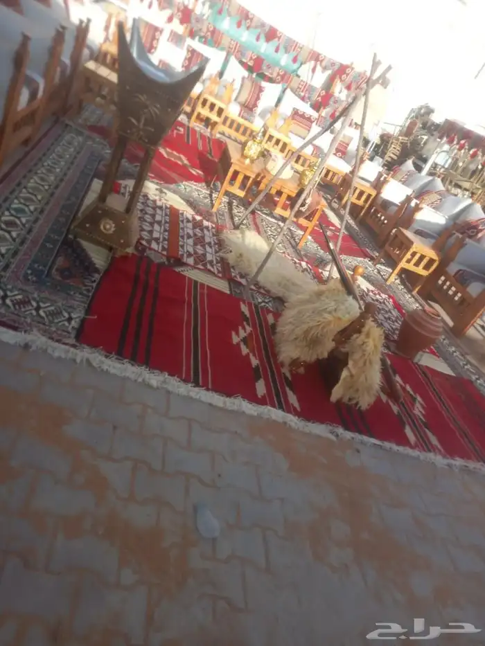 تنظيم حفلات ومناسبات ويوجدخيم ويوجد كرسي ملكي وزل ملكي 1