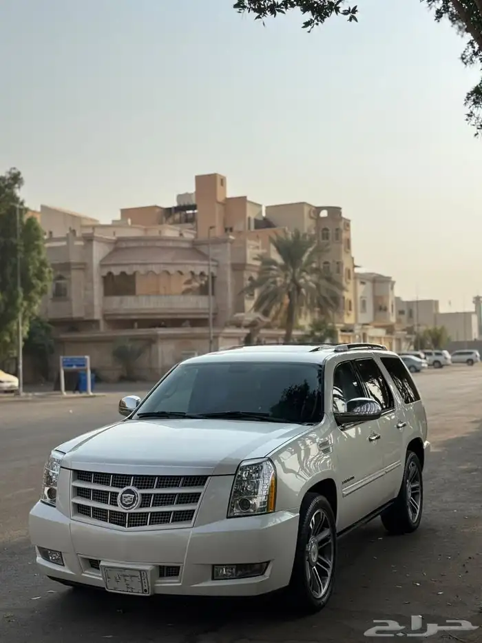 اسكاليد 2013 قصير ابيض لولوي 4