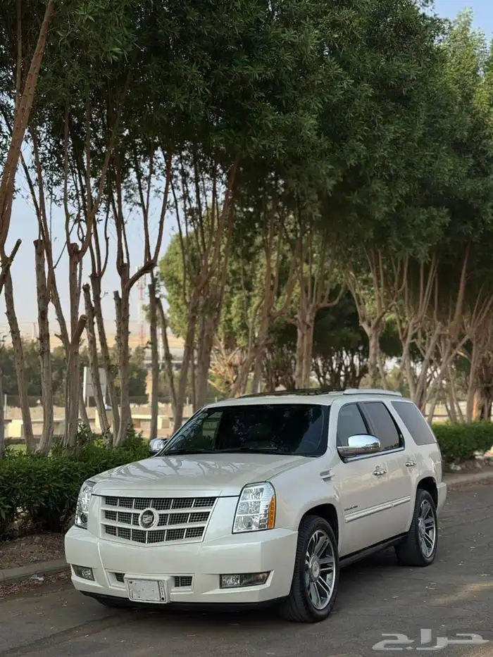 اسكاليد 2013 قصير ابيض لولوي 2