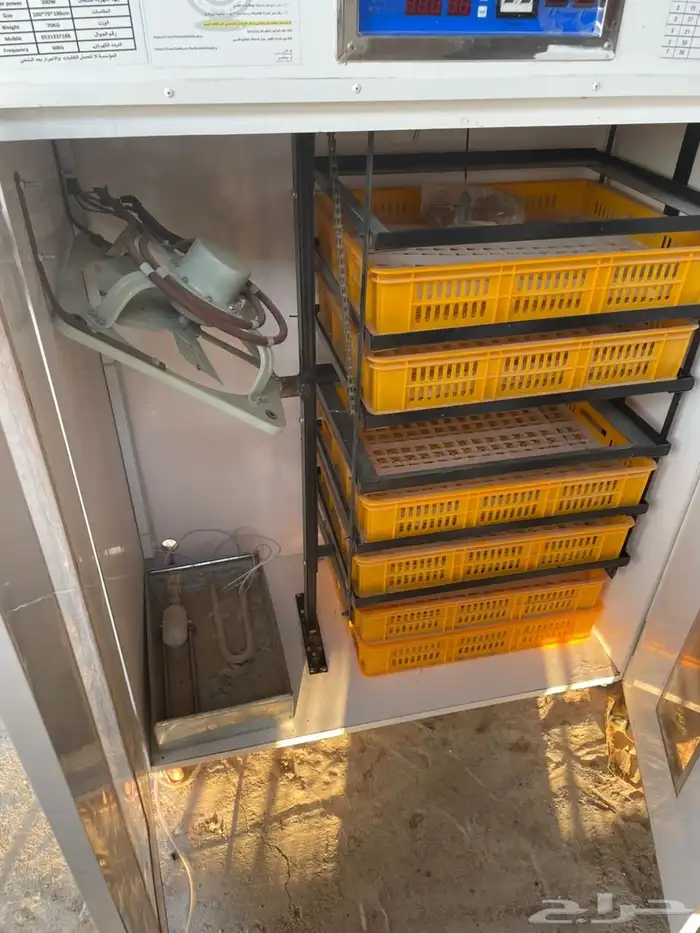 فقاسة اطباق سمان 1